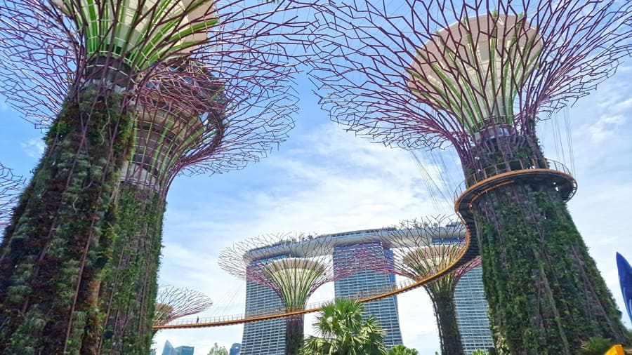 Jahresrückblick 2025 Gardens by the Bay tags