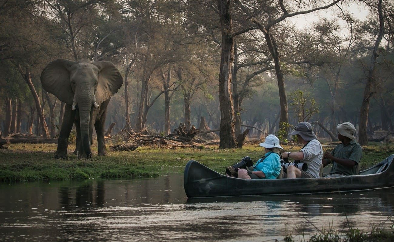 Kanutour Lower Zambezi
