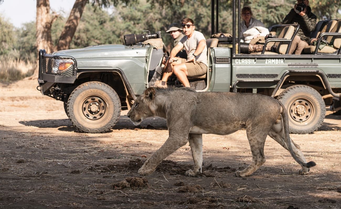 Pirschfahrt Lower Zambezi Chula Island Camp