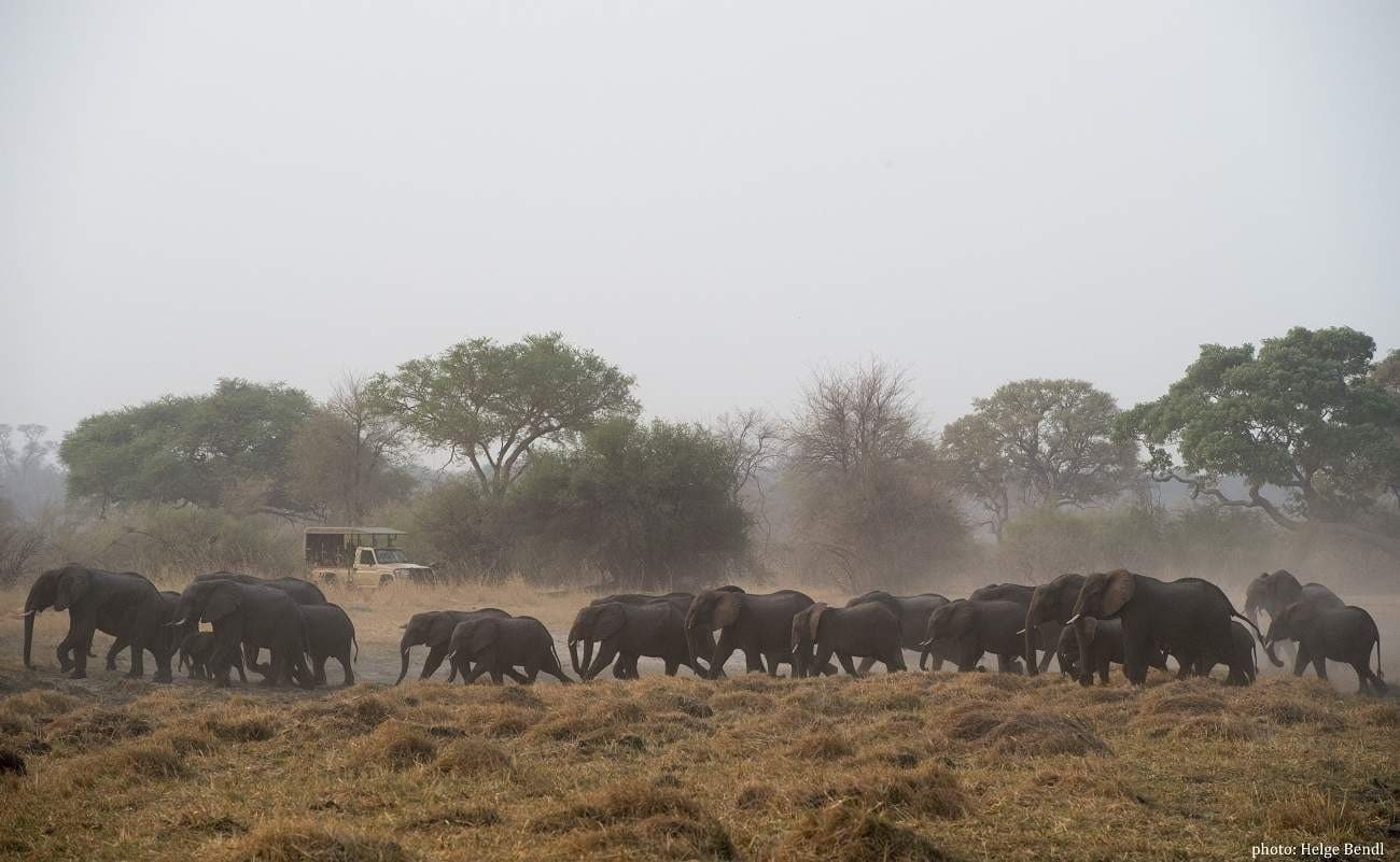 Elefanten im Bwabwata Nationalpark