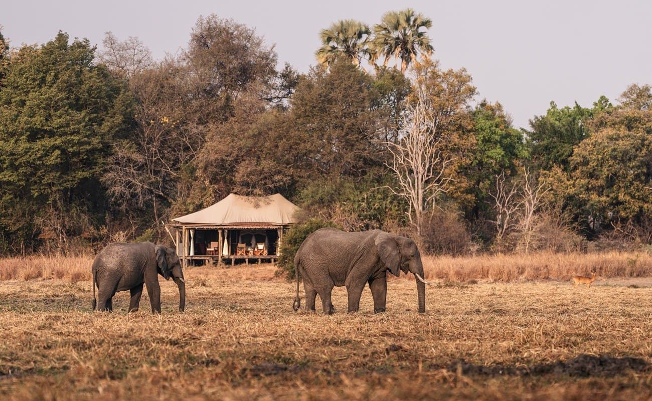 Höhepunkte Sambia Kafue Musekese Camp Luxuszelt Musekese Camp