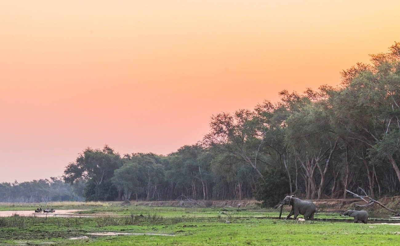 Höhepunkte Sambia Landschaft Lower Zambezi Lower Zambezi