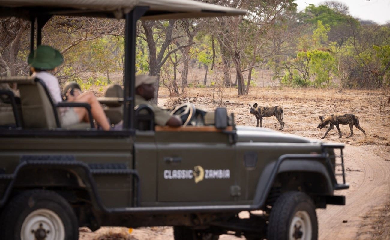 Höhepunkte Sambia Pirschfahrt Kafue Pirschfahrt im Kafue