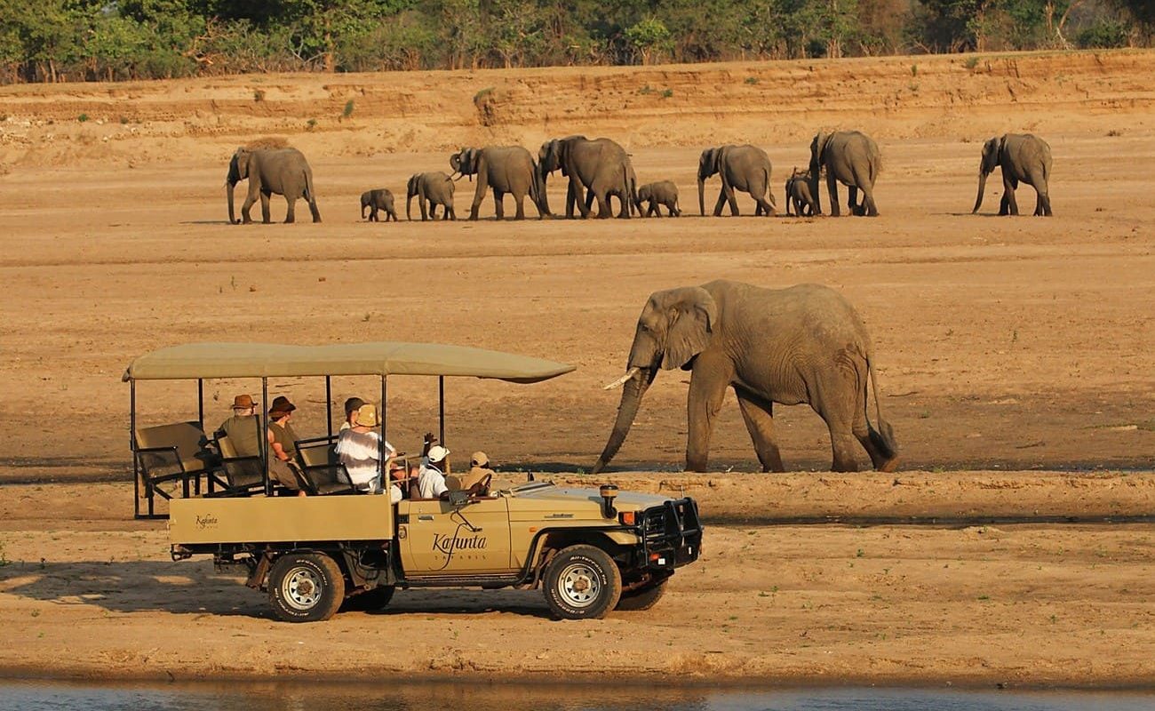Höhepunkte Sambia Safari South Luangwa Pirschfahrt im South Luangwe
