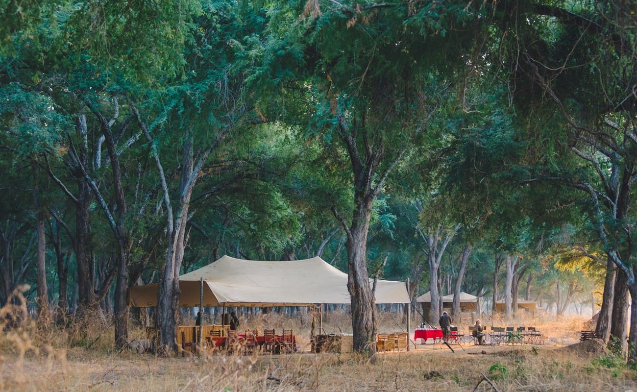 Kutali Camp Messzelt Bäume Messzelt unter Bäumen in Kutali