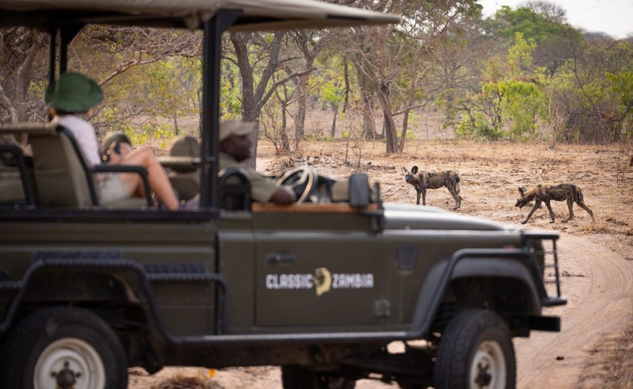 Musekese Camp Pirschfahrt Pirschfahrt im Kafue, Musekese Camp