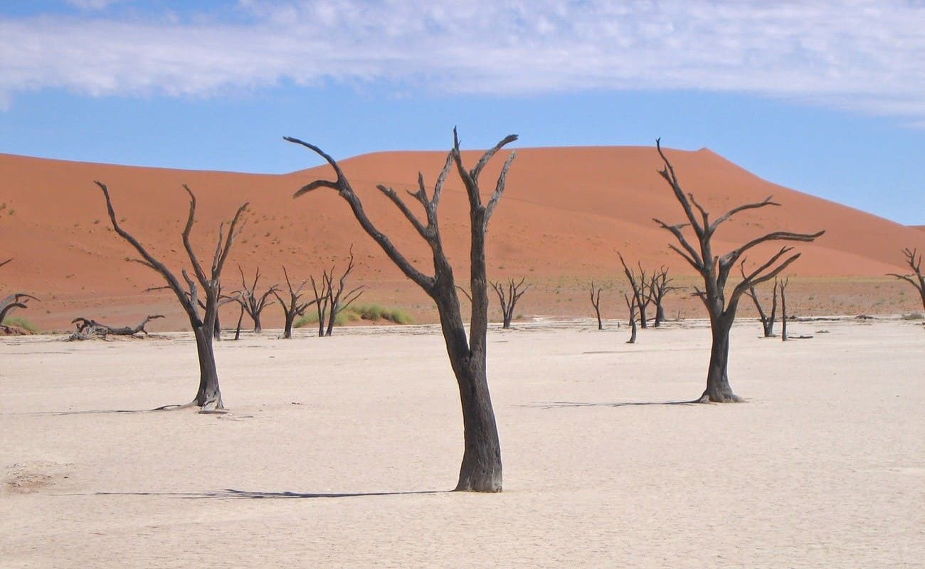 Im Dead Vlei