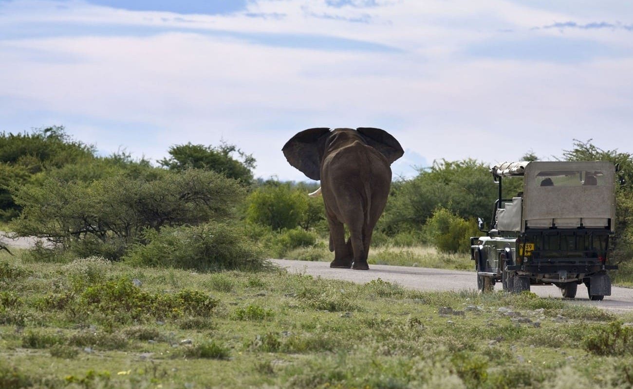 Pirschfahrt von Mushara