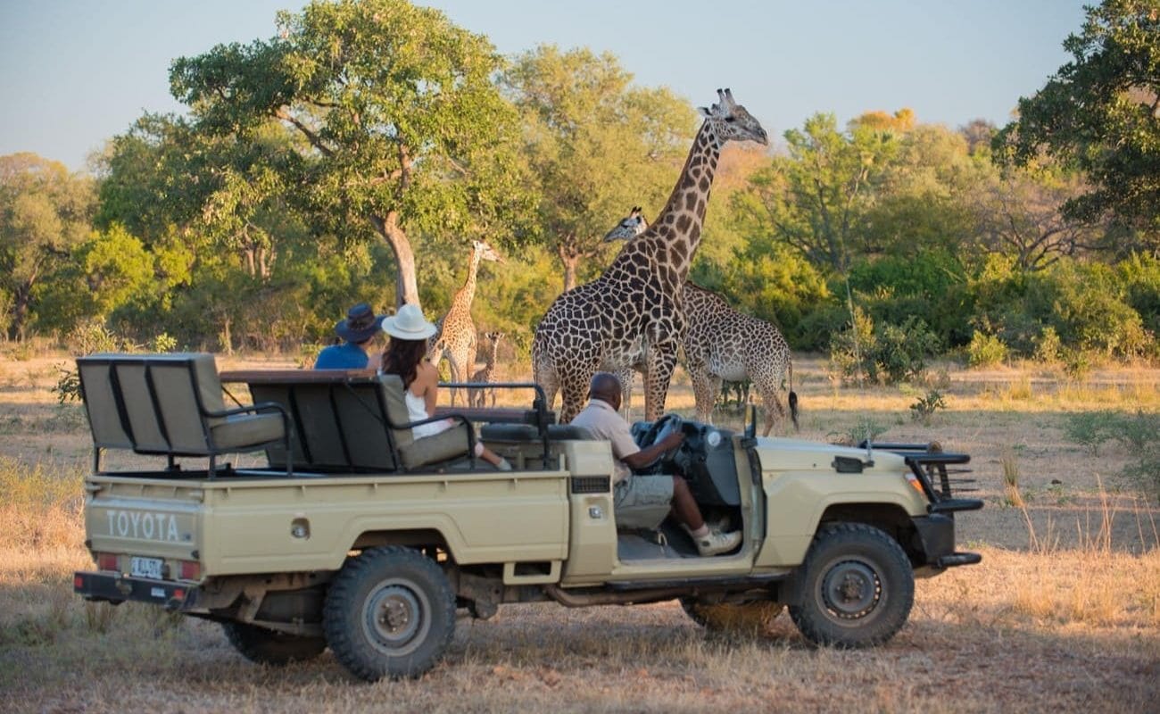 Pirschfahrt im South Luangwa, Nsefu Camp