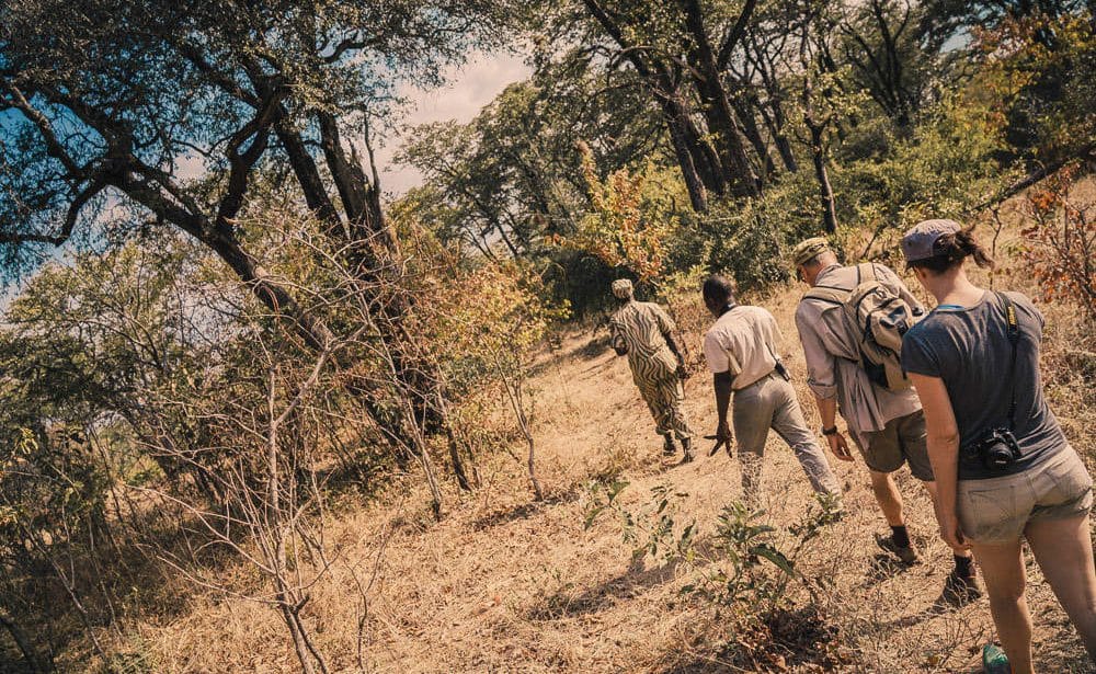 Pirschwanderung im South Luangwa