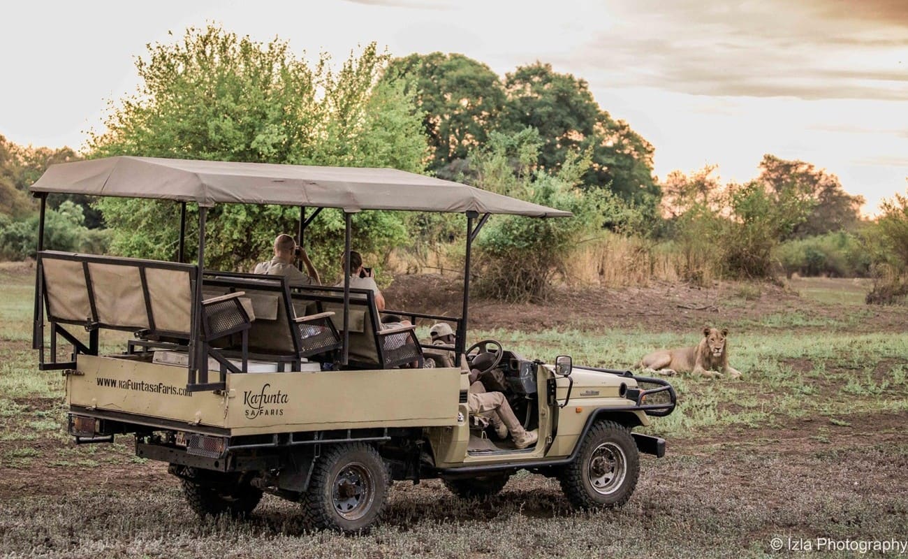 Pirschfahrt im Lowe Zambezi