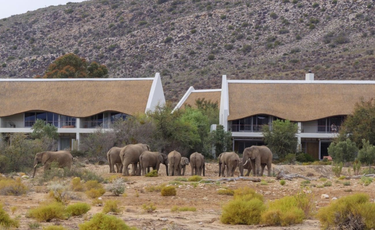 Sanbona Gondwana Family Lodge Gondwana Family Lodge
