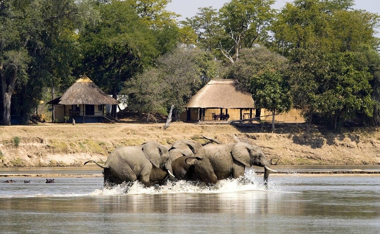 Elefanten vor dem Nsefu Camp
