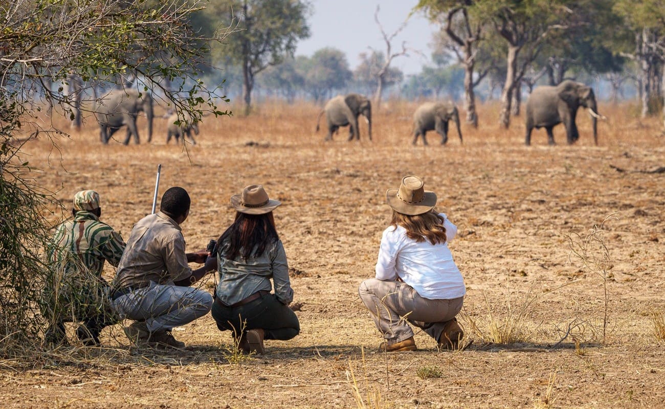 Pirschwanderung im South Luangwa