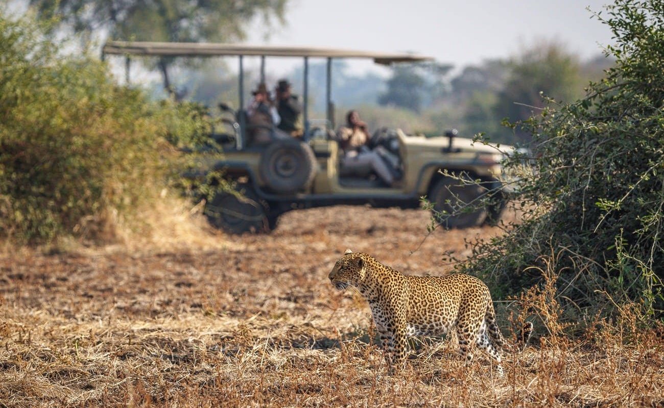 Pirschfahrt im South Luangwa