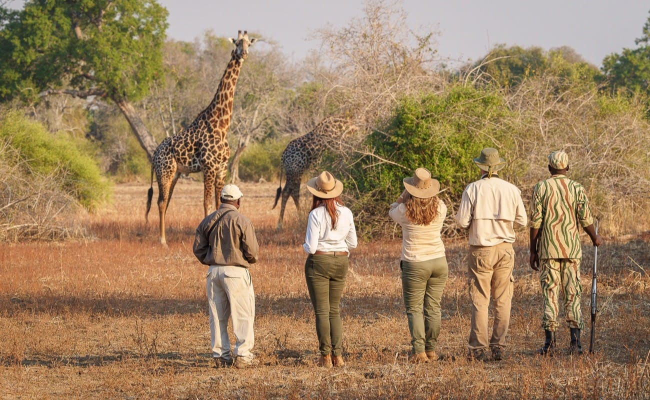 Pirschwanderung im South Luangwa