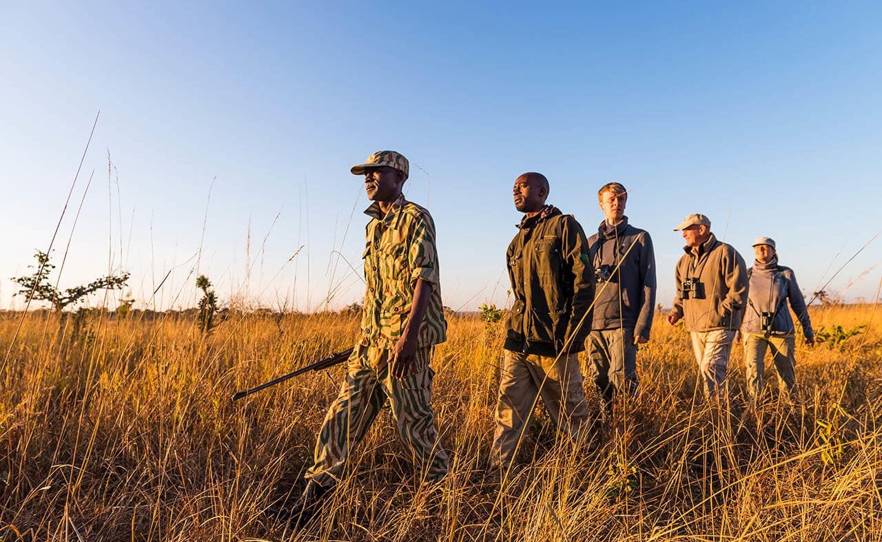 mukambi Pirschwanderung Pirschwanderung Kafue Mukambi