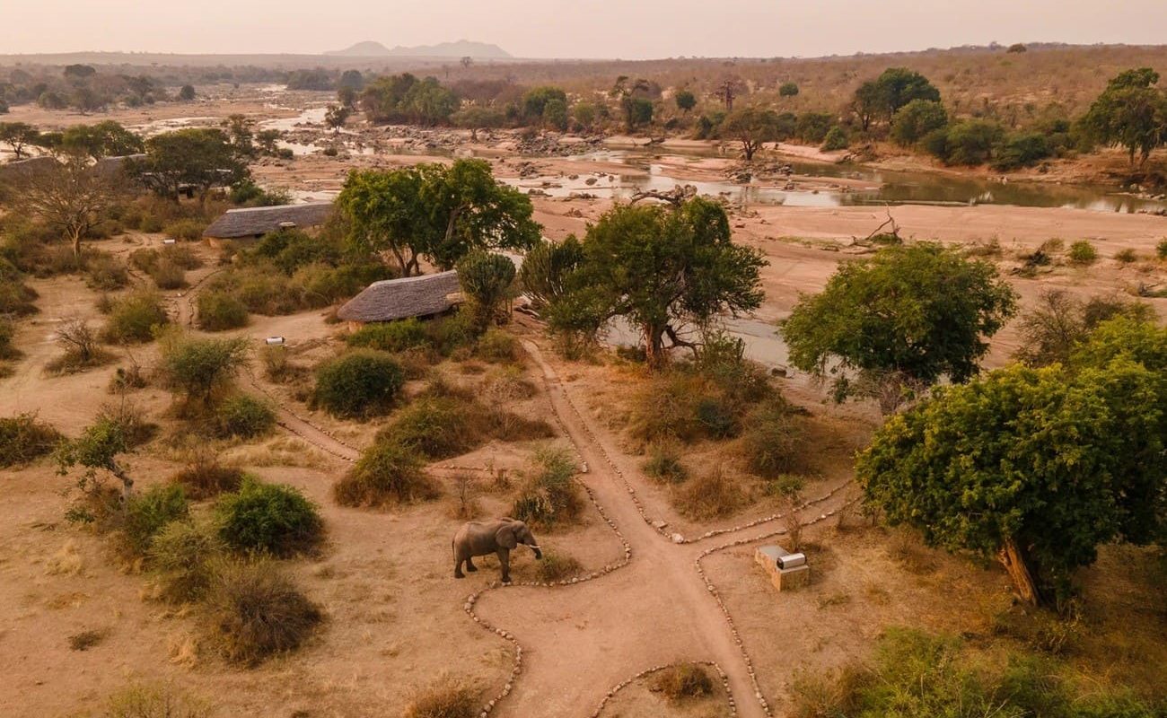 Nord Süd Tansania Ruaha River Lodge Elefanten Elefanten bei der Ruaha River Lodge